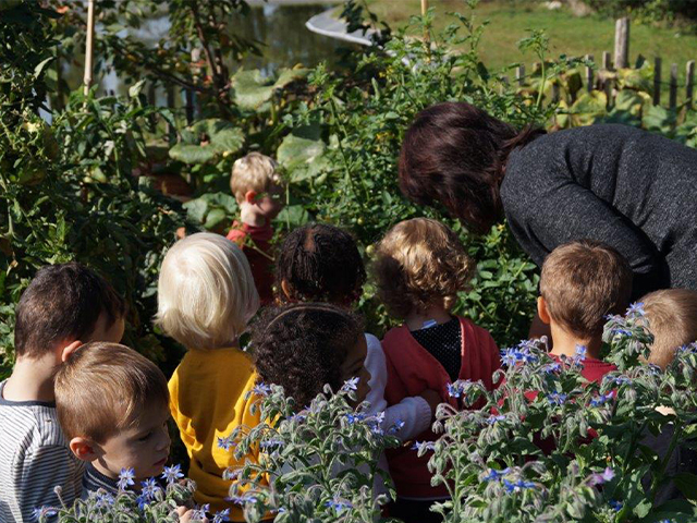 Jardins des Écoles