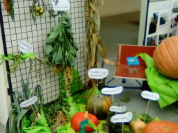 Jardin des Enfants