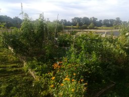 20200901_photo-03