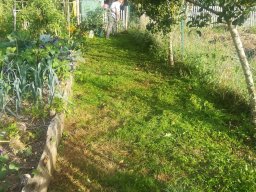 20200901_photo-06