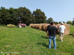 20240822_photo-27