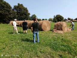 20240822_photo-35