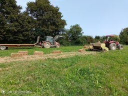 20240822_photo-36