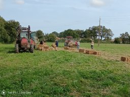 20240822_photo-51
