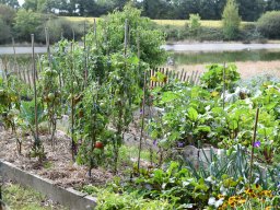 20200905_photo-15