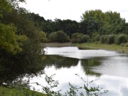 20200905_photo-27