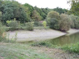 20200905_photo-37