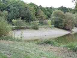20200905_photo-38